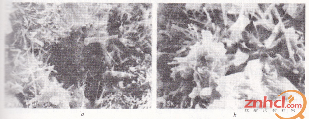 江苏沭阳蓝晶石烧结体显微结构(江2号) (SEM，4700 X，小于0.054mm)